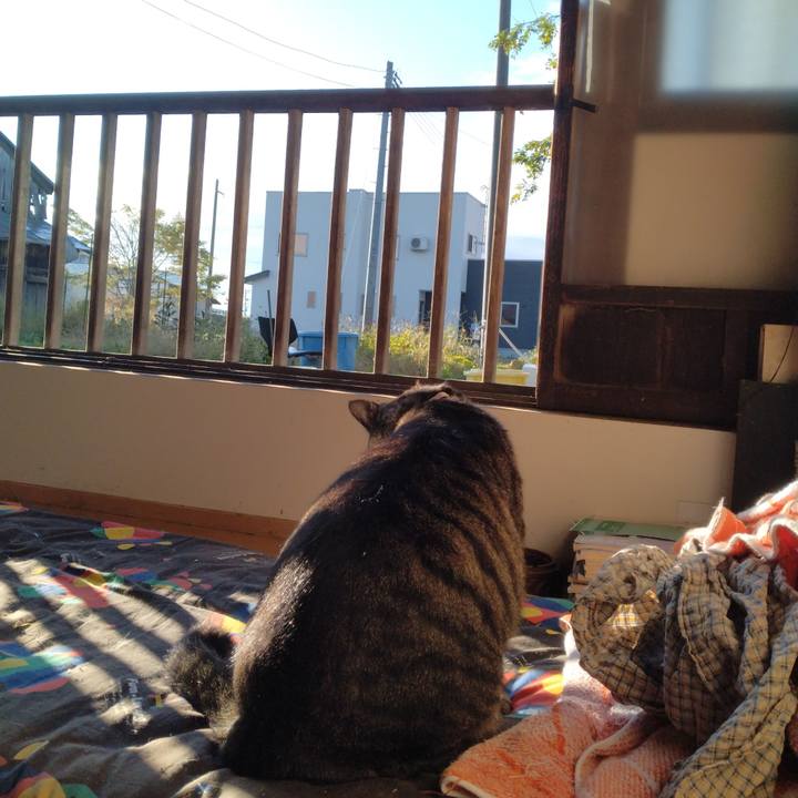 54bf2a23 5420 4027 9ade 405cd2a6153d 1666219661736