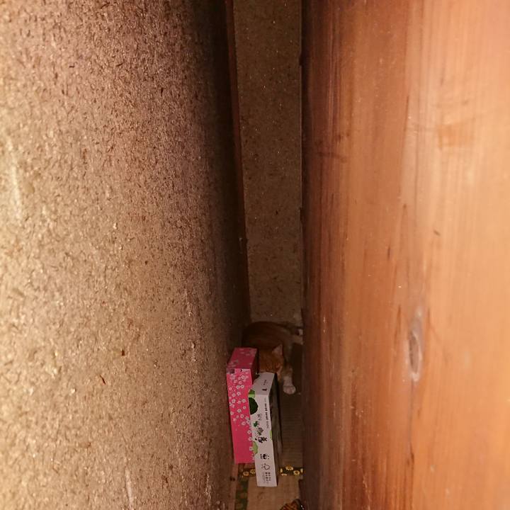 54bf7e28 fe6a 45a8 8b69 b5771534e37a 1597357094168