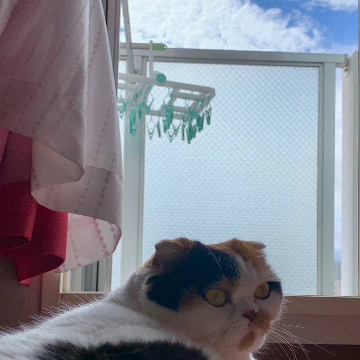 54bf8075 4d4a 423d 973f bd2f083fe03e 1563059474689