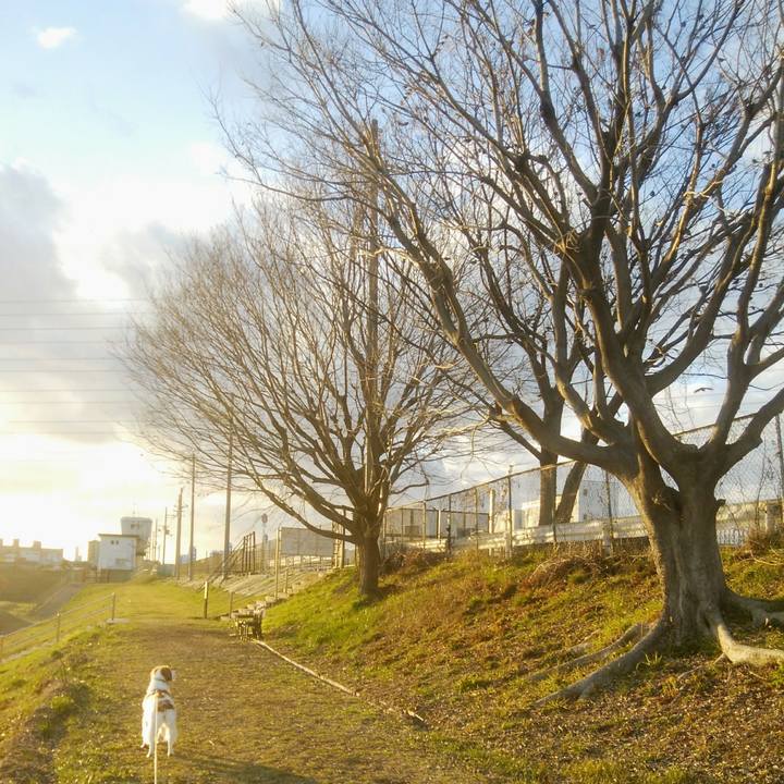 54bf9a59 74c8 4f56 9b7b e2b8b9bbc62e 1549020110104