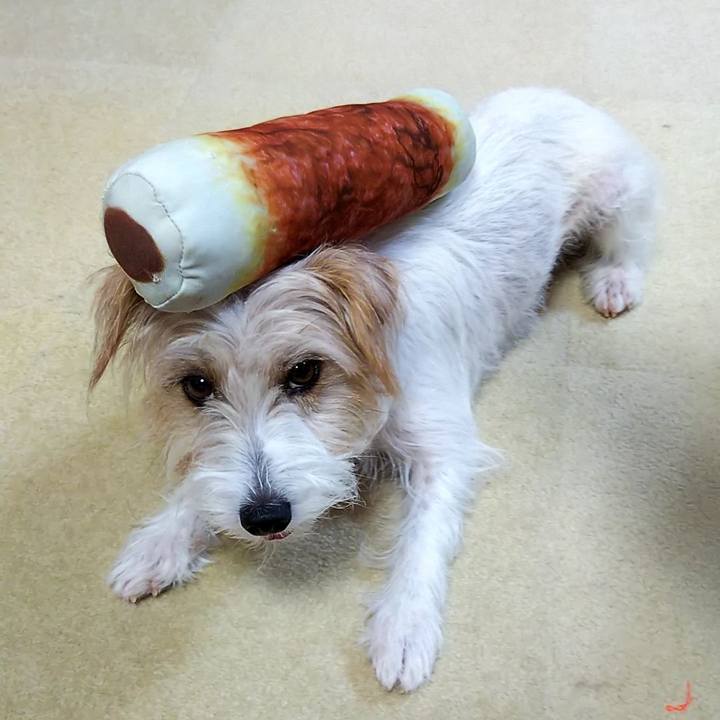 54bfdf23 bb11 4c78 b564 edb217b7bd71 1534332456361