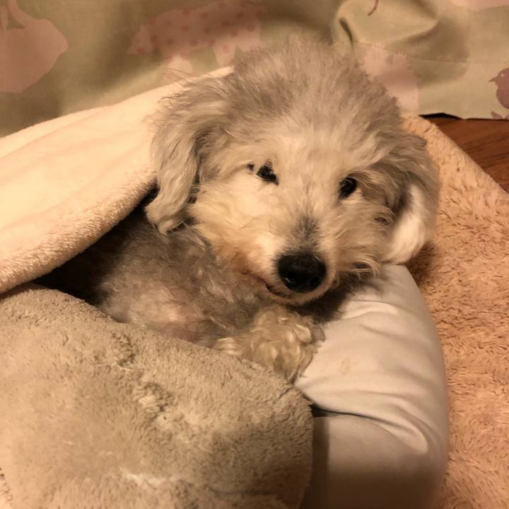 54bff688 dbc8 4127 a258 51b7e2c151c5 1638403572640