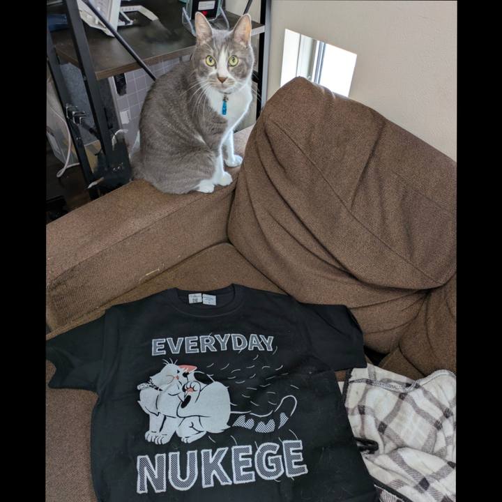 54c08e24 b5e6 45e3 a073 511d8fe7ea17 1754028725399