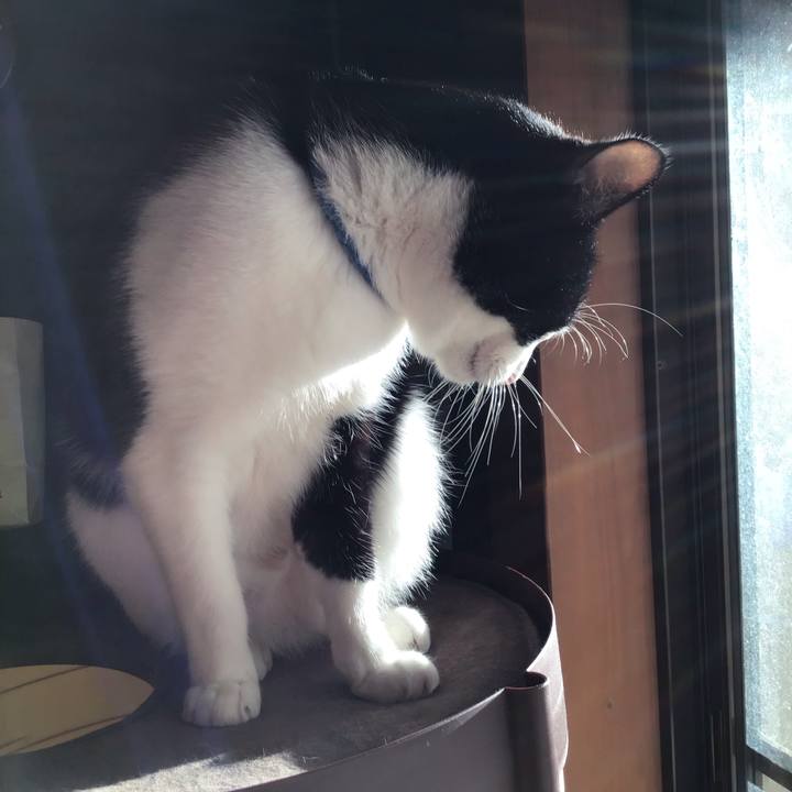 54c09108 ac16 4001 a663 7f3b6f99930f 1700047443637