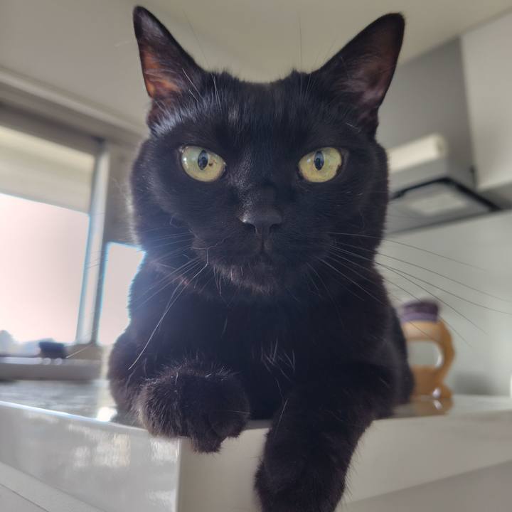 54c0af69 d70a 407e bac9 2aa52dbbbe50 1719182553791