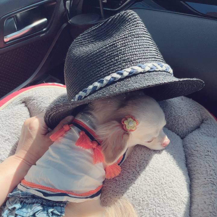 54c0c42f dadc 40d7 a697 e85b642ff504 1695043389520