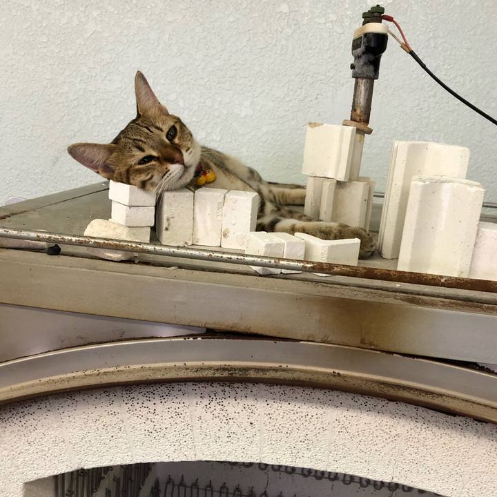 54c0ee10 0e94 4a62 8cfb a66a4e65d944 1597905465913