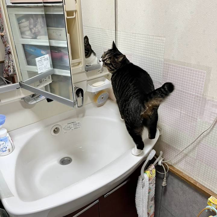 54c0fadc 97e1 40ae a697 02fcd085ff73 1764029300410