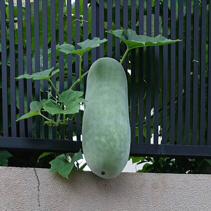 54c0fe6c 12d3 4660 ab70 d2b3d81a91ec 1566724148971