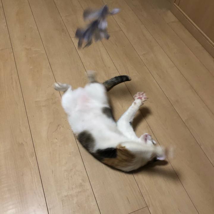 54c120f9 6e02 4c37 a57b 53e43c8a892d 1601320462468