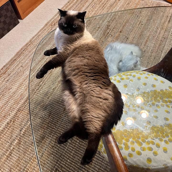 54c16005 2b3c 4e9c 8587 6e995588415d 1655959407313