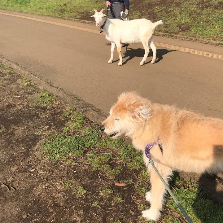 54c164c4 7021 4cfc 8ec9 cb2fbeb44329 1588066989617