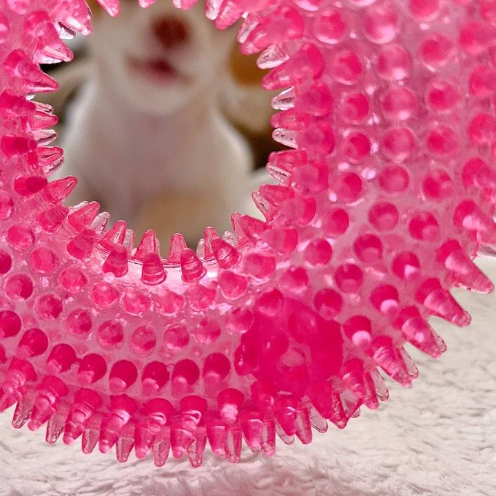 54c172c1 7cc4 4b29 b6c3 50c8b36e7c9b 1592293242669