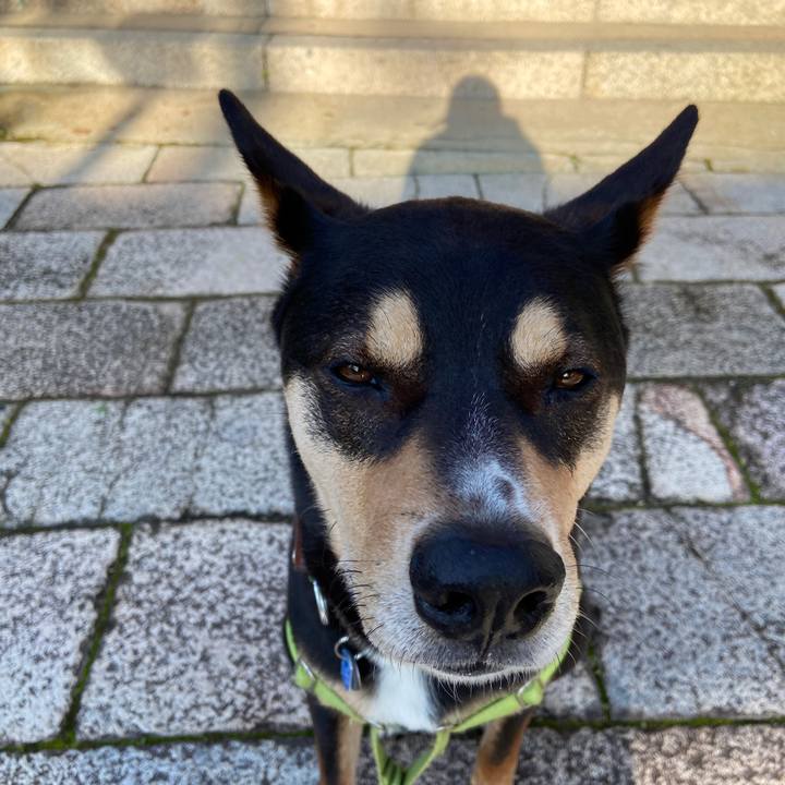 54c1d2f3 2d32 47e8 8b17 cf8847e5a7cf 1622257290266