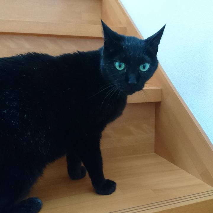 54c28500 00e8 43b2 a5d0 01810547885a 1542415664840