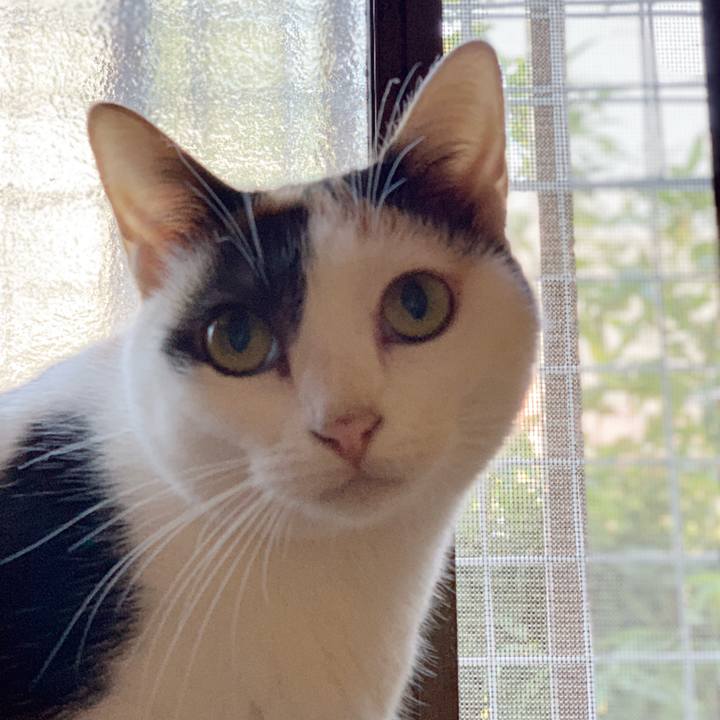 54c2b5f7 de26 4a30 bbd2 cdad89807048 1540002204071