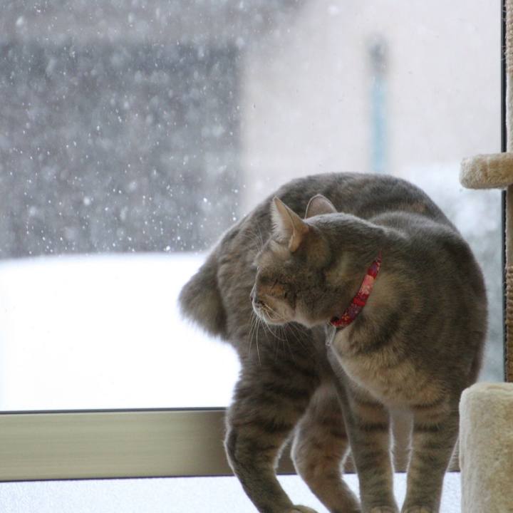 54c2c234 3834 40de b296 858160cbcde6 1515632898374