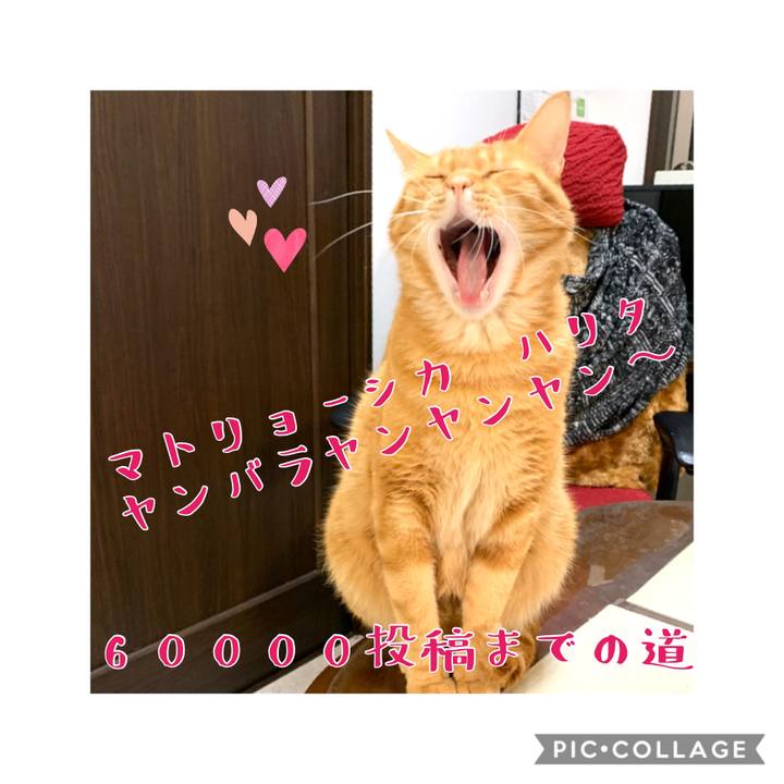 54c2d3a8 970d 4347 86a5 1a59b1e8518f 1578431545467