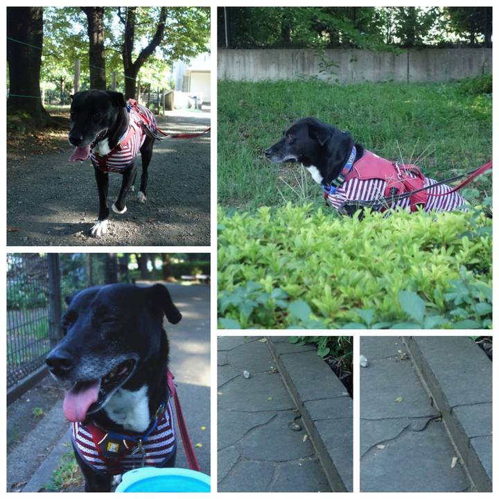 54c34191 f30b 4f1b a46c 0f23f1638fe9 1690588777151