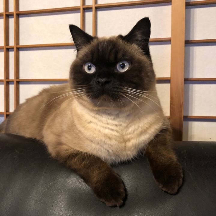 54c343b5 2263 4942 aed2 b7348c99074e 1616289593283