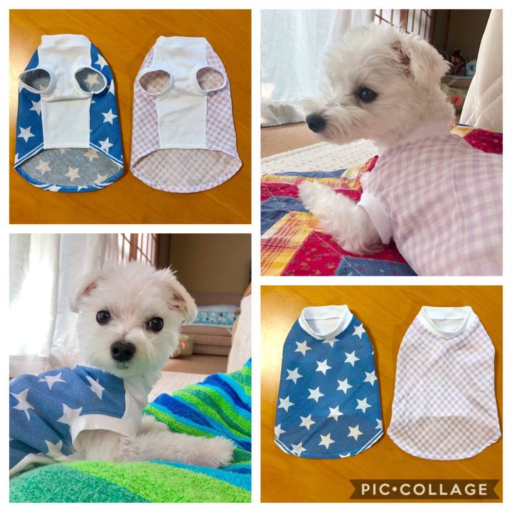 54c351d2 6fca 4983 ab17 f152320af157 1564735073680