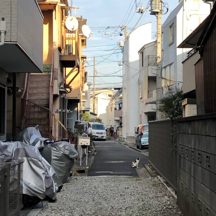 54c35fc8 5b17 49d2 b9e4 a14e237006d1 1607438441036