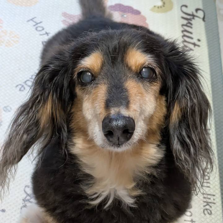 54c37486 2e86 4b2a 8f8d cd15b1364125 1750493878754