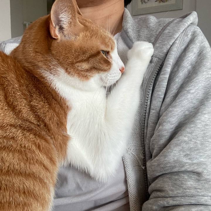 54c3861c 694e 4716 b842 8198a0241ca9 1667255396118