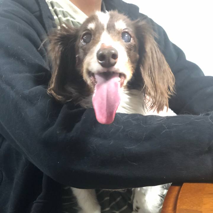 54c39511 4a0c 4fa6 912d 1f78402138f6 1613301006892