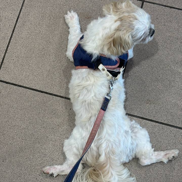 54c3baba b7ac 4f61 98b3 c540b047177d 1752011301088