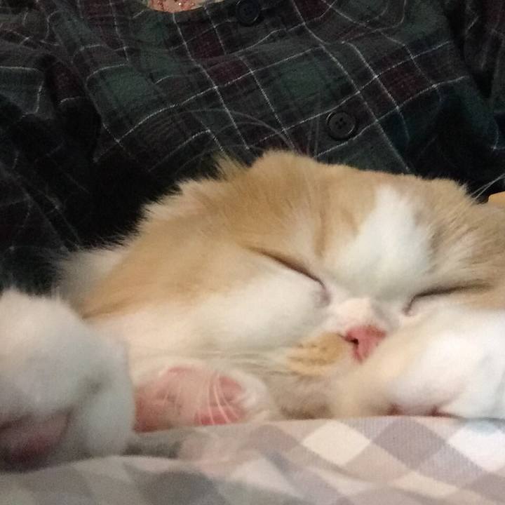 54c3f4a7 ab31 431b b5d1 a5cc41facf09 1513950189000