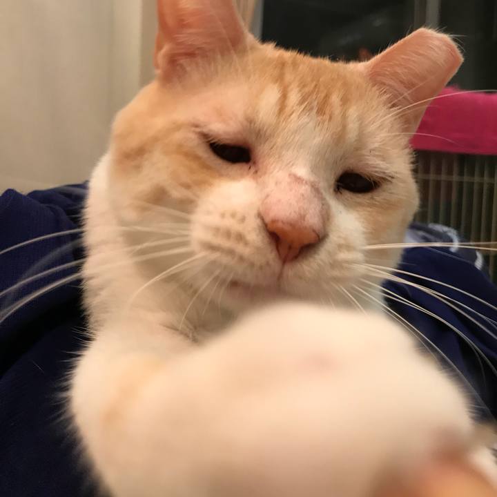 54c40929 69b0 4251 80da 227b4a0fe6d3 1536154359217