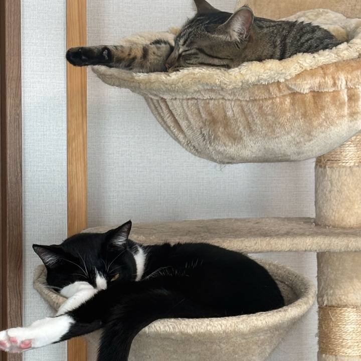 54c40d09 e9f0 4f12 9dc9 283f792555e7 1767235535310