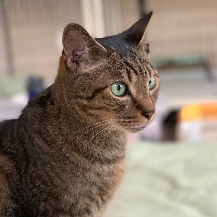 54c42293 093a 4f0b 81c0 288603815e53 1559351232435