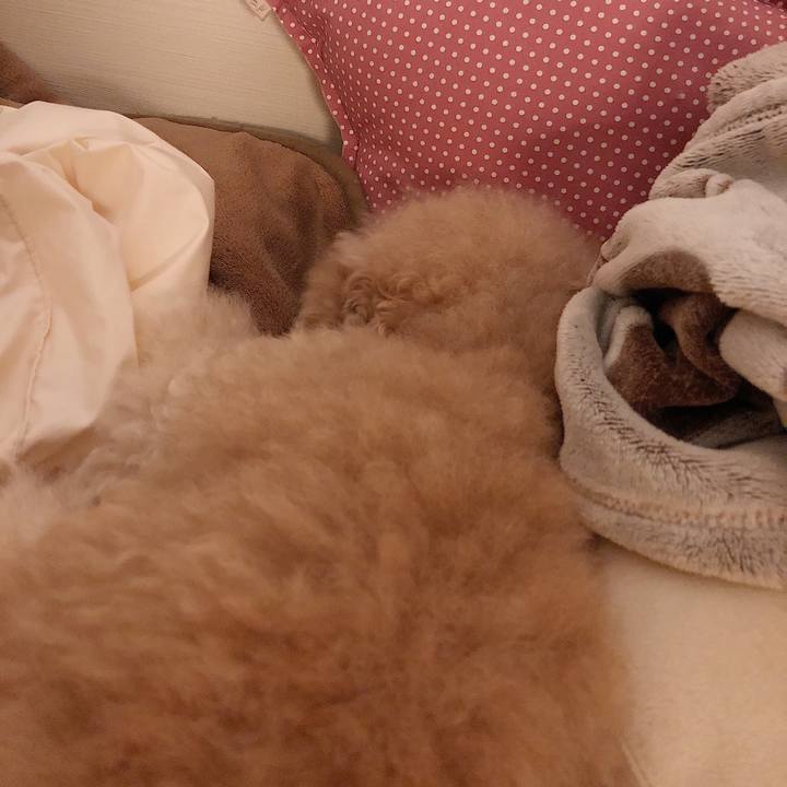 54c44cc1 bbfe 411f 92ea cf03375c7d90 1532266903943