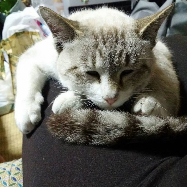 54c44ffd 16f3 475c aed4 31d4bfda8e3c 1515933725612