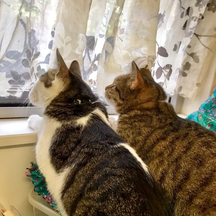 54c45deb aede 4c84 9ebb 171756d257ed 1563722314106