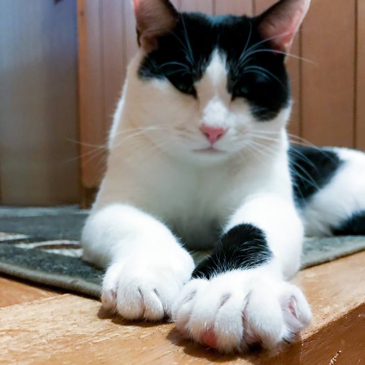 54c472d8 8a67 44a4 9fb9 461afefb3d7b 1511572232610