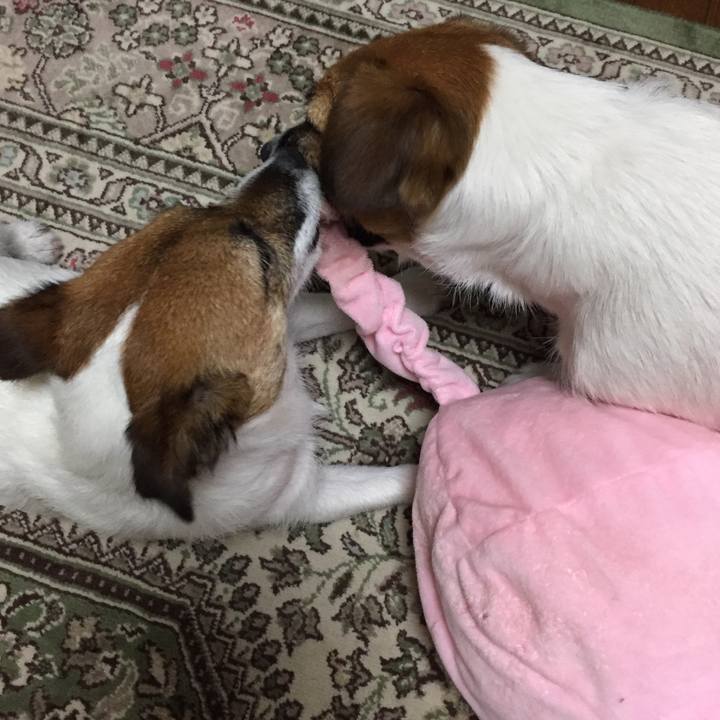 54c4a627 33ee 45cc 93c8 d2abfa99251c 1520956058679