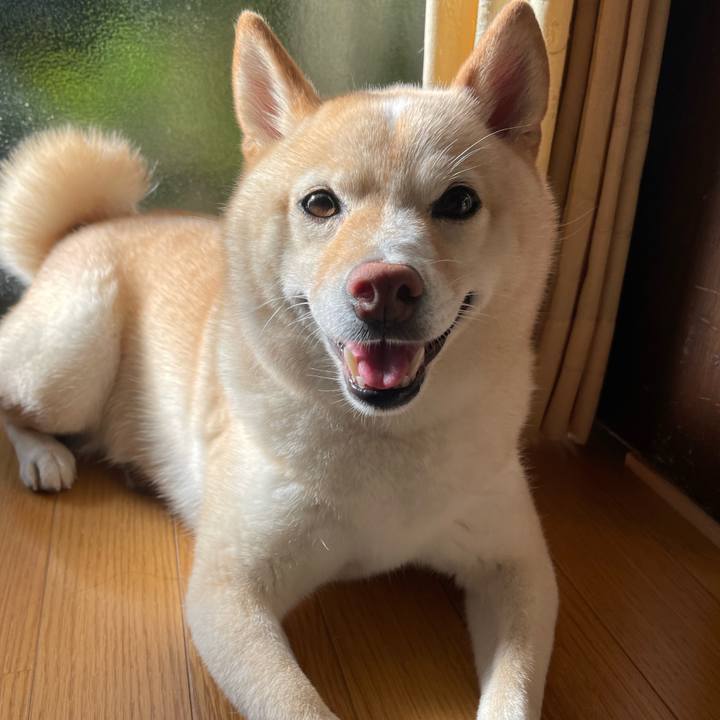 54c521a0 c259 4472 8d6f 837e4ff08e6f 1693865539270