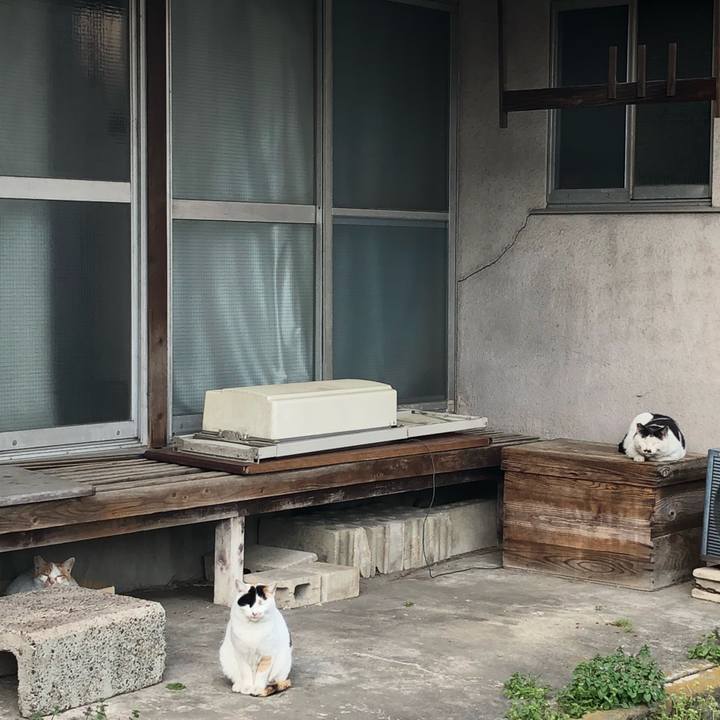 54c55fb1 9fbf 452e b45b 7f067b3d5c25 1522056598363