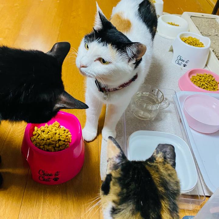 54c56bef b079 4d2f 8f61 b971a2ca4d47 1658867927594