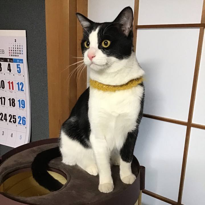 54c574cb 0a7c 4e8f 8375 c87190699861 1645827668875