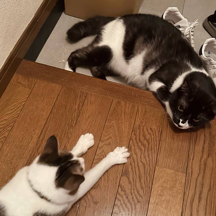 54c59105 8125 4075 bade 024e92117830 1775999328553