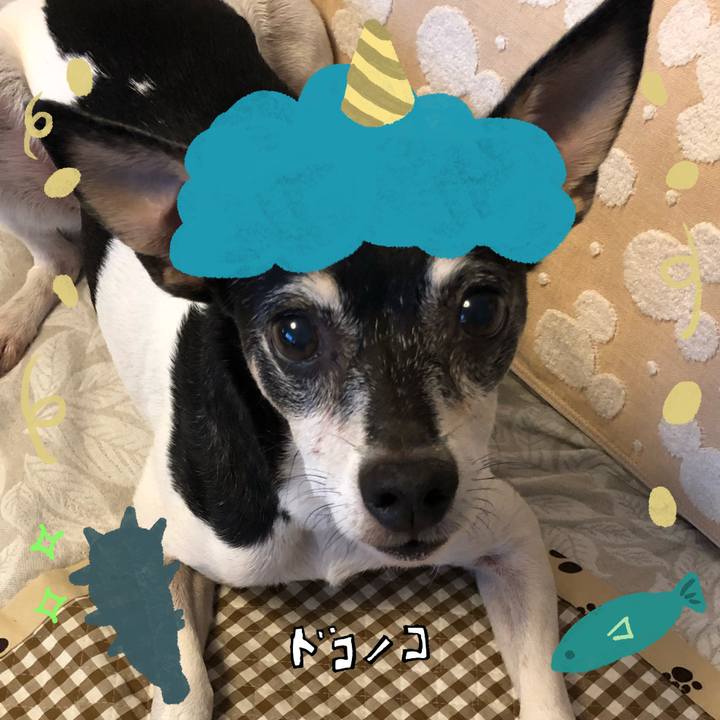 54c5ee67 cc6c 4b72 80b5 81b113668cb0 1706789449994