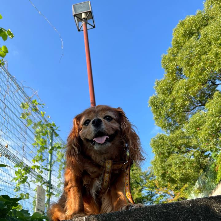 54c5ff3c 5173 4275 bc74 41b3edfe1ddc 1760397076005