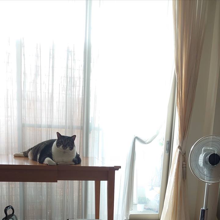 54c637d6 b49f 421f b14a da3c6c401814 1597369069535