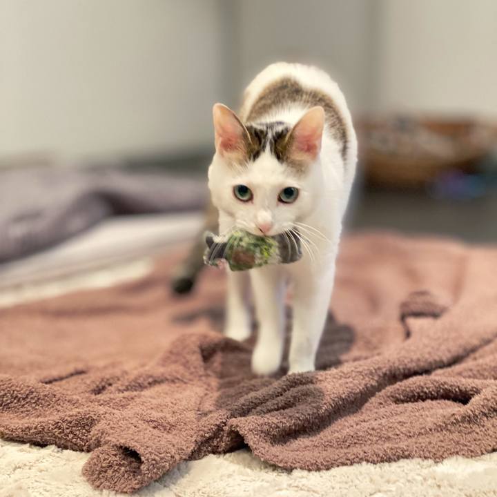 54c63d14 fe9d 455b 86c8 7b839b033942 1638099798531