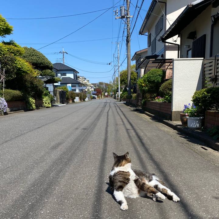 54c64c02 a69e 47a6 bdc7 3bb4e9f49691 1586840113611