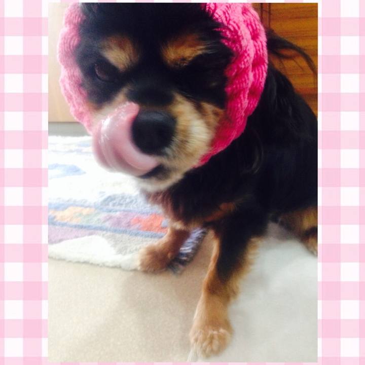 54c64f0e 3f69 4996 b006 e5be6372eb8d 1537762905058